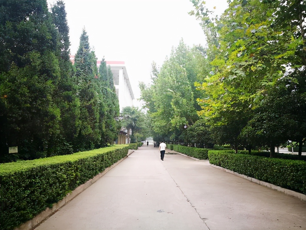 咸阳市最好的高中有几所,咸阳市秦都区渭城区有多少高中