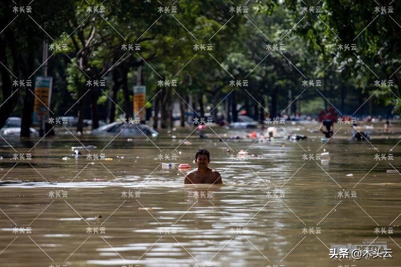 马来砍伐猖獗，在线可买伐木许可证