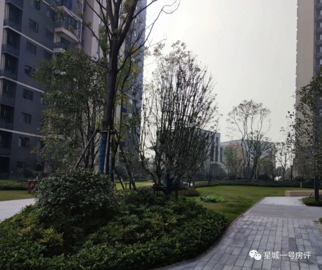 长沙轨道万科璞悦湾12栋,轨道万科璞悦湾