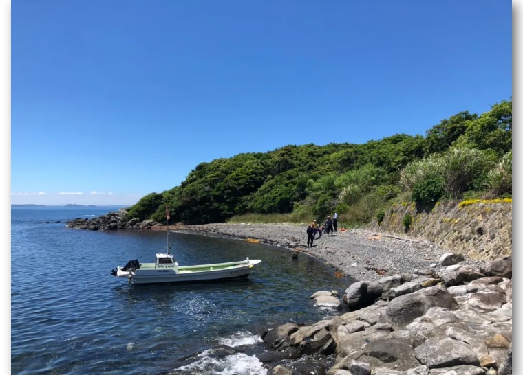 青岛姑娘买下日本小岛在哪个位置,中国女孩买下日本一小岛
