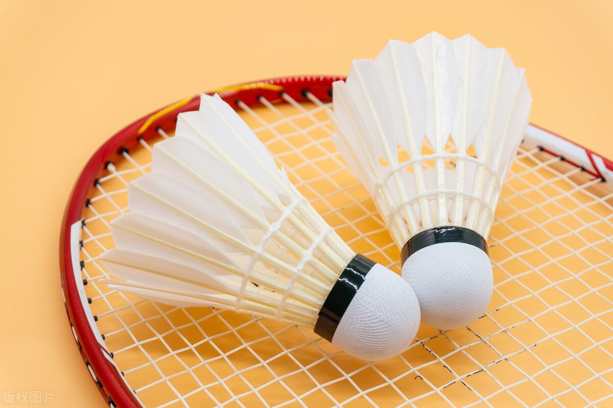 李宁羽毛球拍入门系列,适合女生的入门羽毛球拍