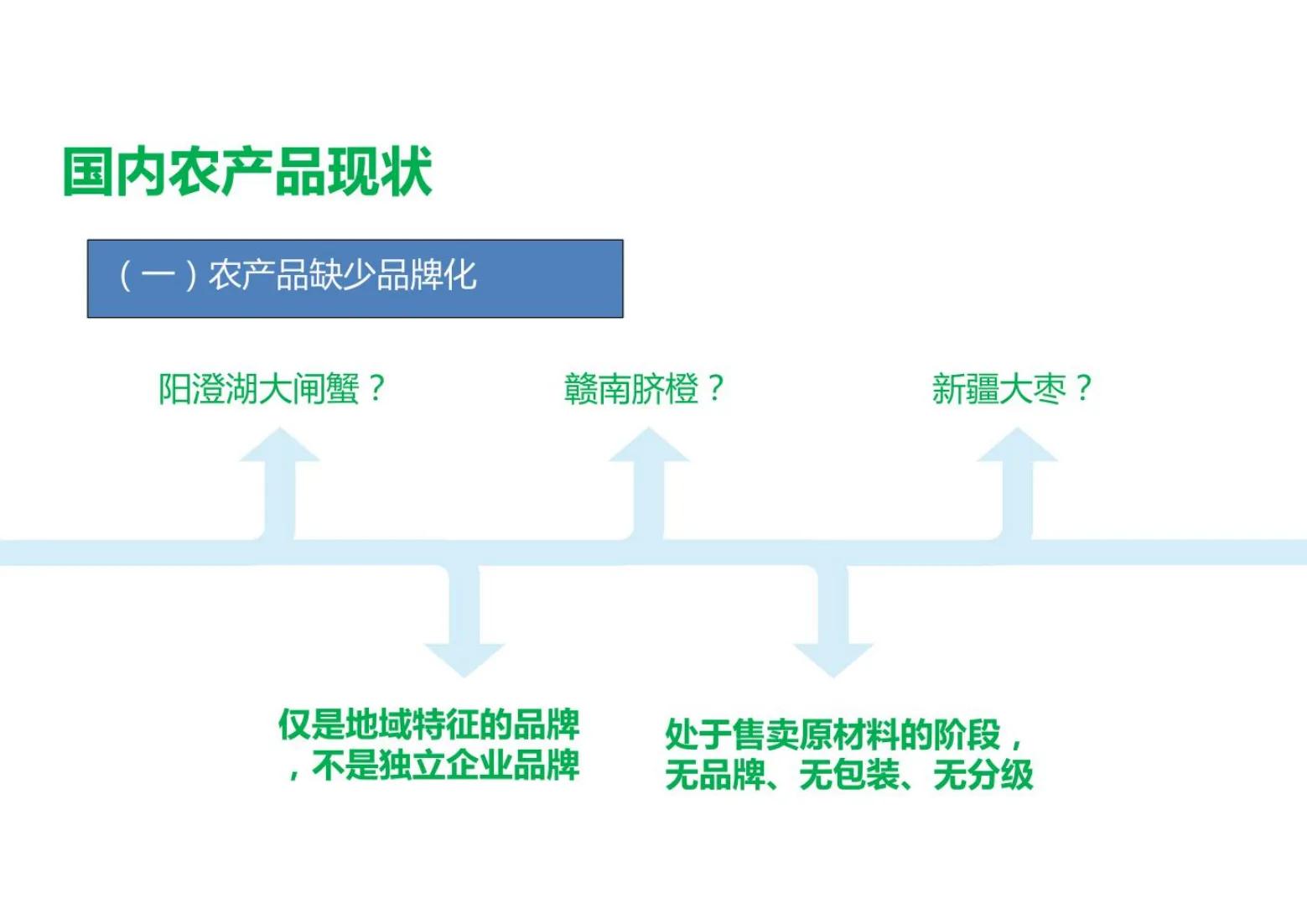 农业方面创业成功案例ppt,创新创业农业项目计划书ppt