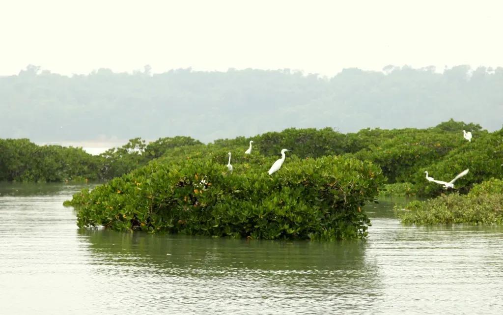 北海三天三夜自由行攻略,感受北海的风情
