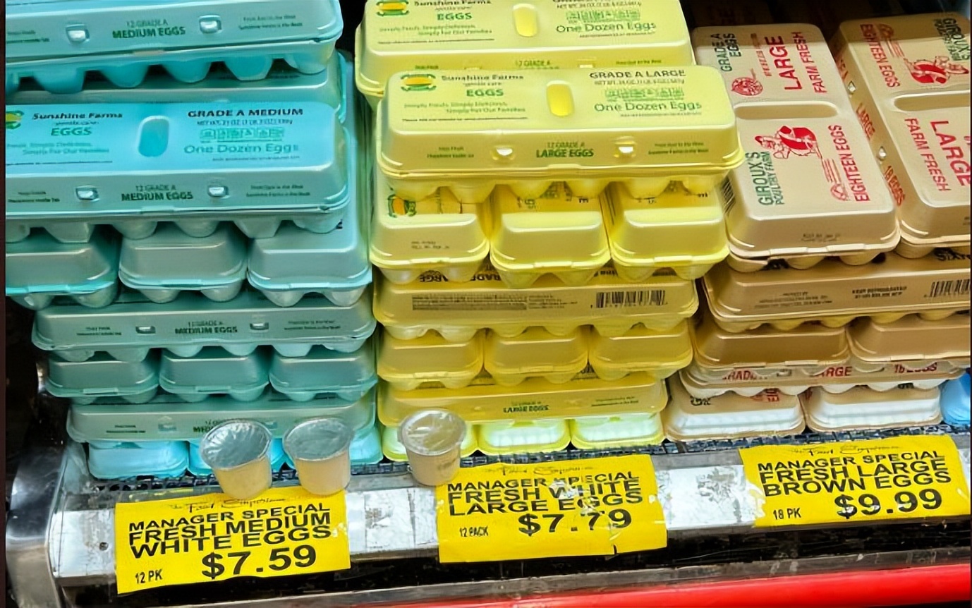 蛋价飞涨下，美国人各出奇招：有人*私走**鸡蛋，有人自己养鸡