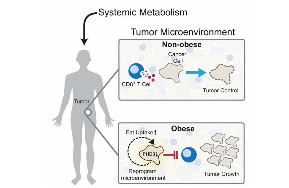 50岁后不论男女，有*生活性**和没有*生活性**，差别有多大？看完涨知识