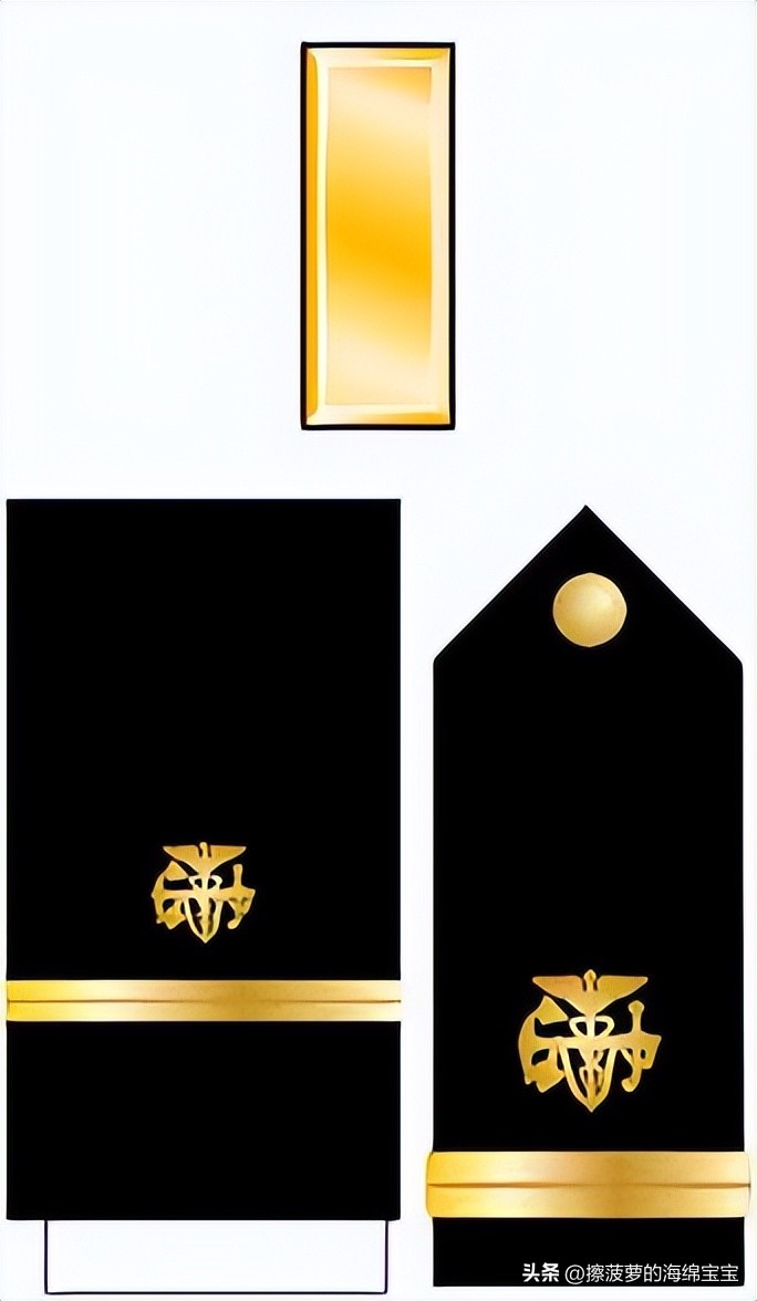 美国公共卫生服务军官团有多少人,美国医务兵地位