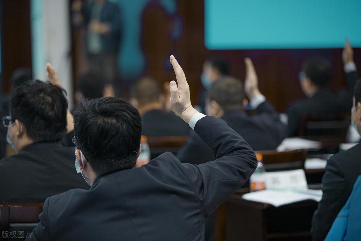 丁某、龙某、张某诉大地公司决议撤销纠纷案之评析