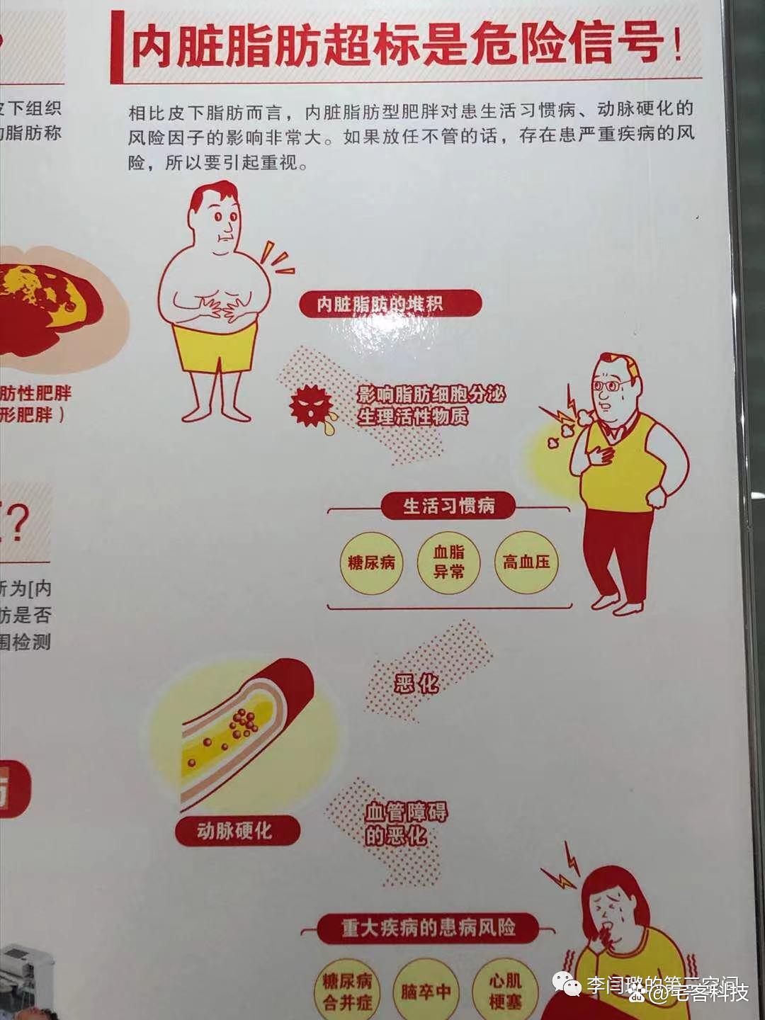 教你看懂检测报告,看懂体测报告中的骨骼肌与体脂