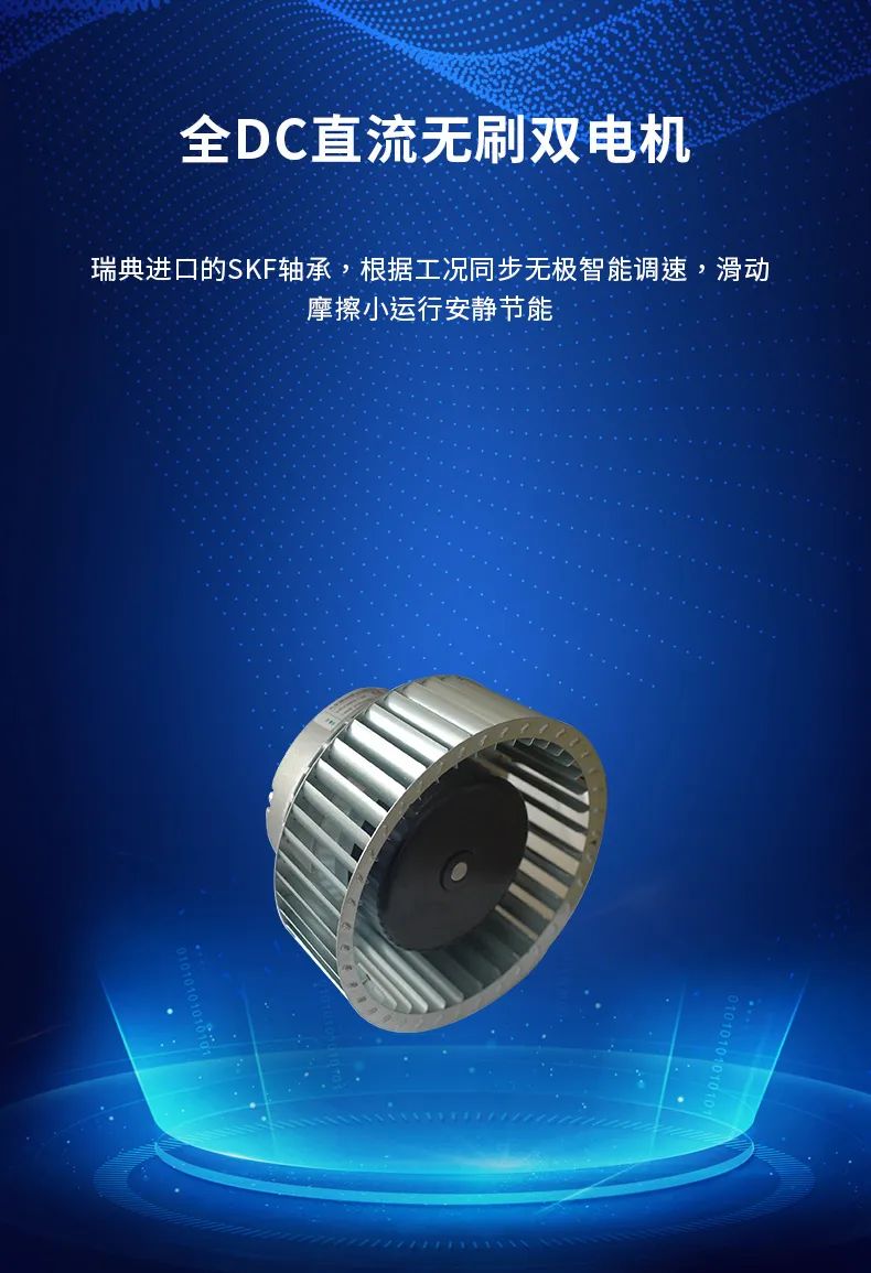 布鲁格林新风介绍,布鲁格林新风测评