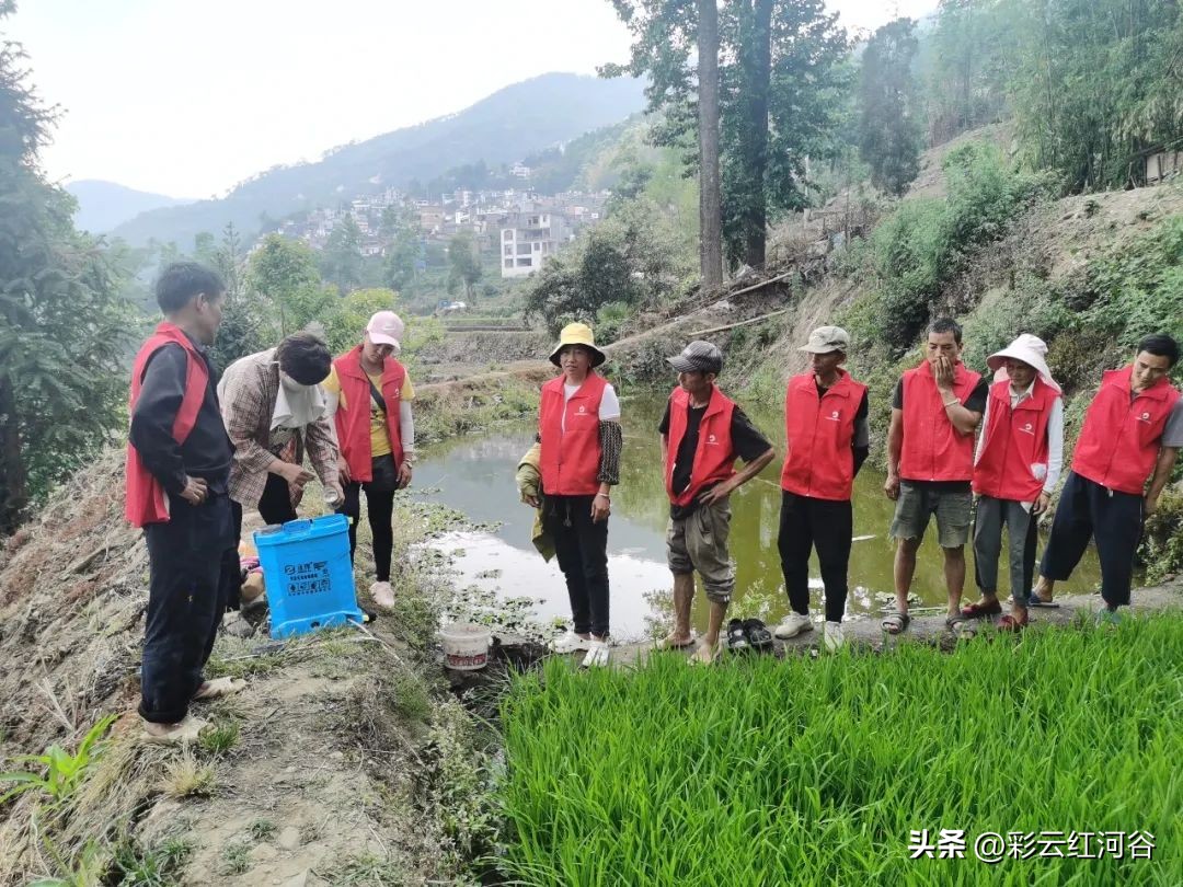 【“三话六学”实践活动】石头寨乡：“学科技”提升群众就业创业能力