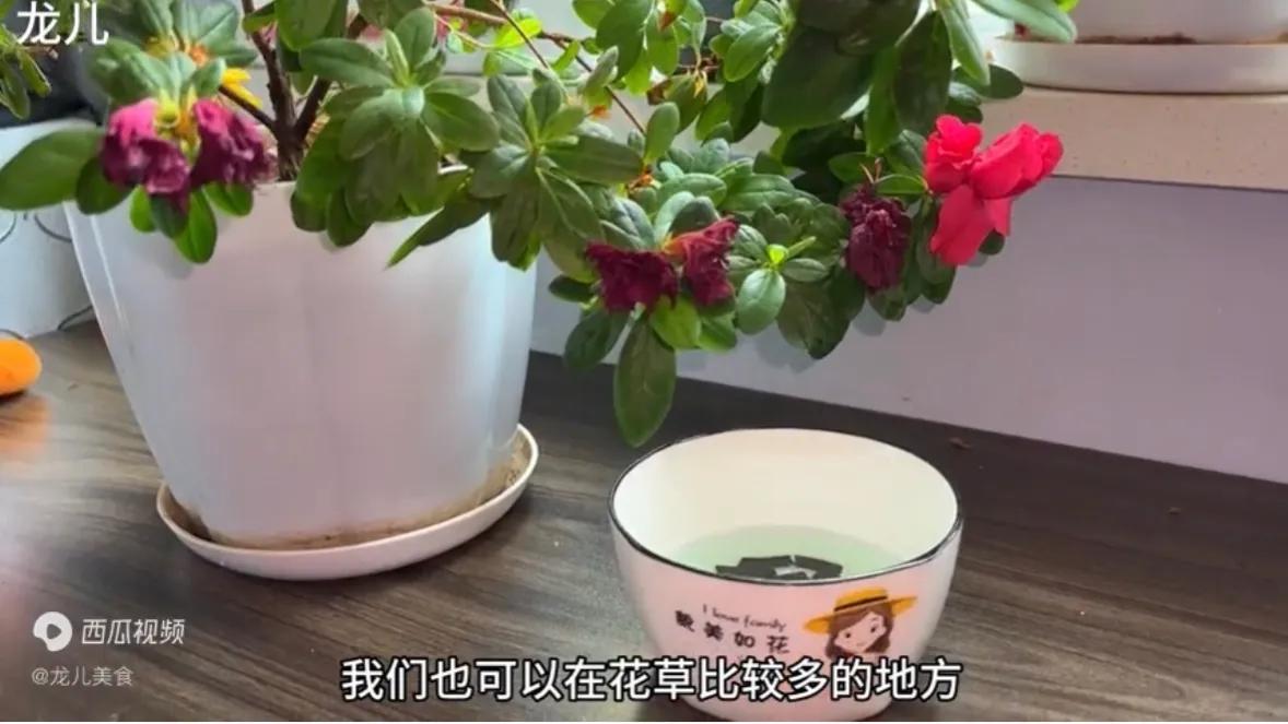 蚊香放在水里泡一泡妙用,蚊香放在水里面泡一泡起什么作用