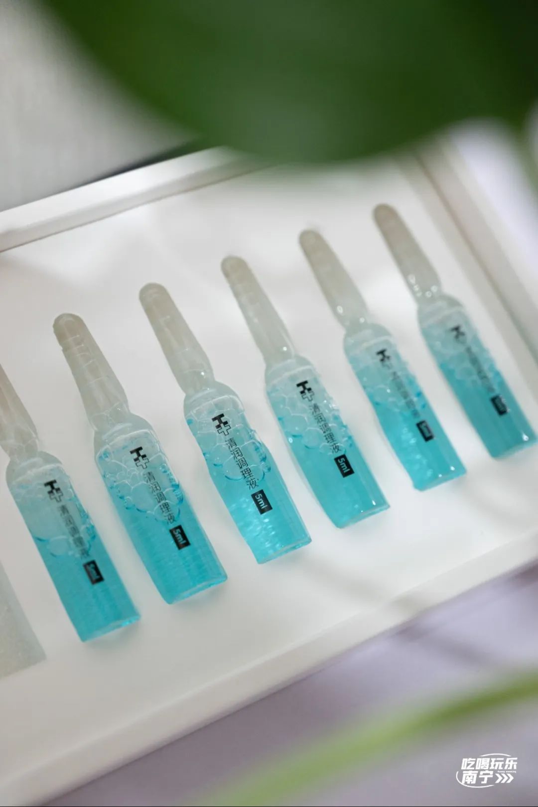 大数据请把这篇文章推给头发焦虑的南宁人