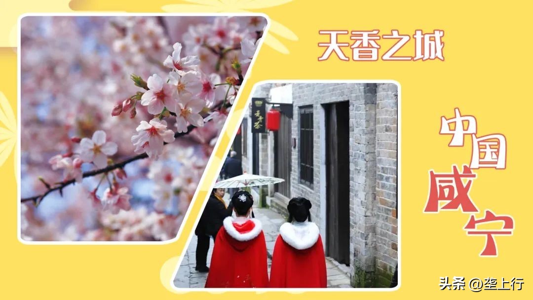 湖北春季赏花攻略十大赏花路线,叮你有一份礼物请查收音频