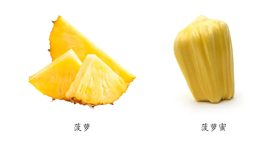 菠萝与凤梨有什么区别,金钻凤梨与菠萝的区别