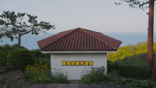 来就送房还给钱，这真人秀太壕了