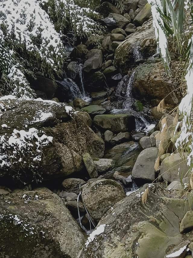 当年的钓点早已无鱼可钓，但鱼就在水中，真正的垂钓者都能看见