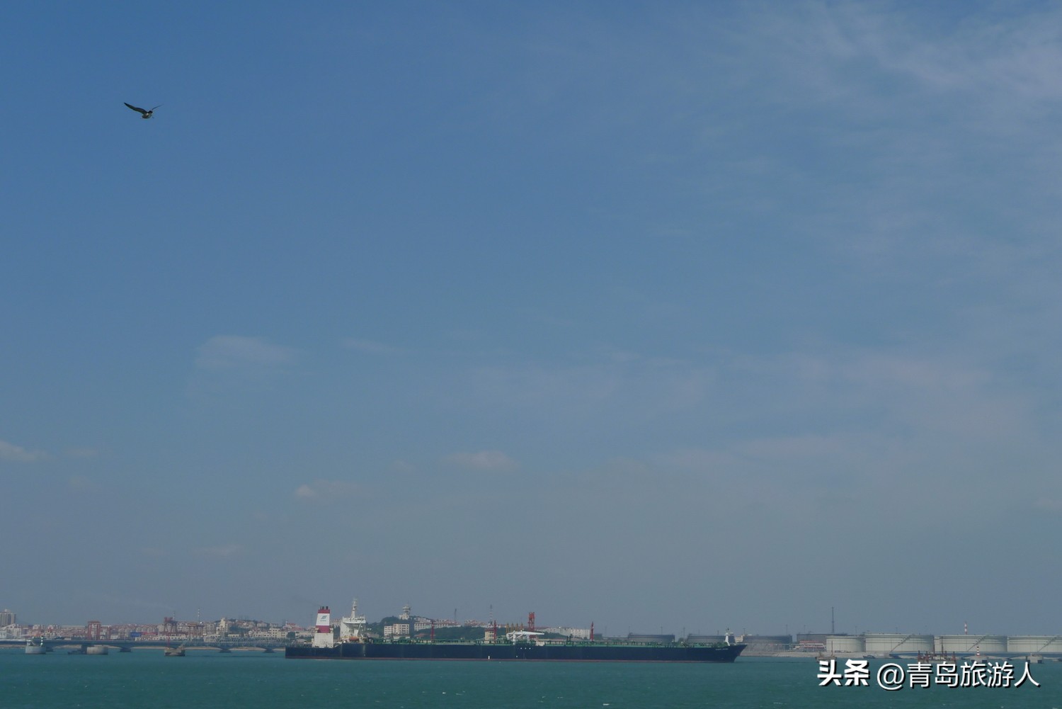 青岛海滨音乐节,青岛海上音乐节演出