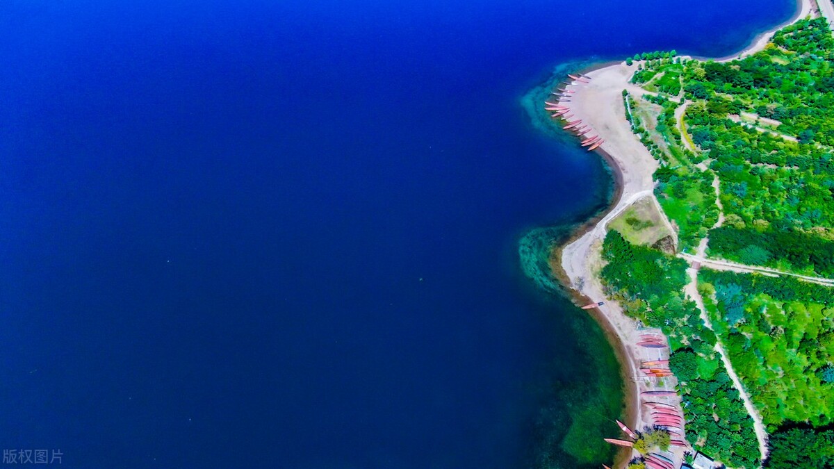 抖音创业文案吸引人的句子热门,抖音新年祝福文案吸引人的句子