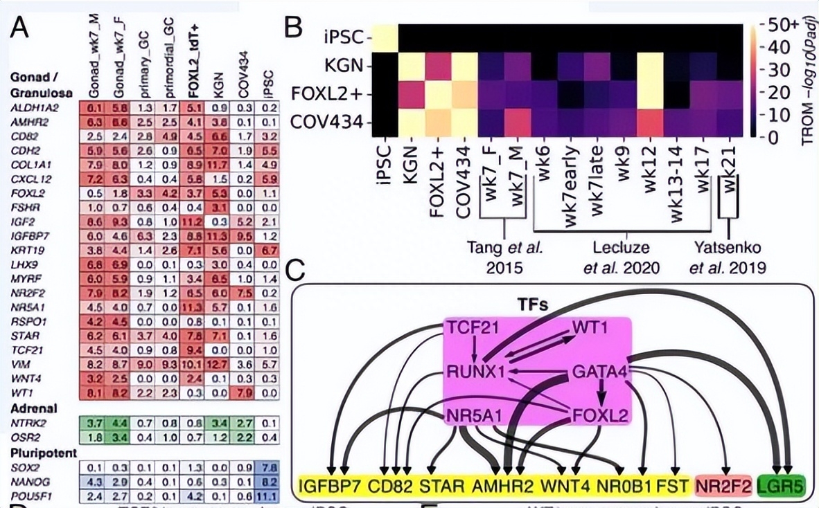如何使用EOSM290机器，在不同加工条件中，制造出极端形状的薄壁