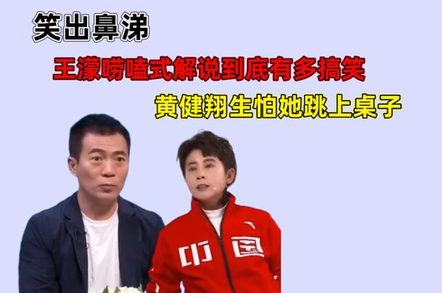 王濛黄健翔解析冬奥,王濛黄健翔解说韩国犯规