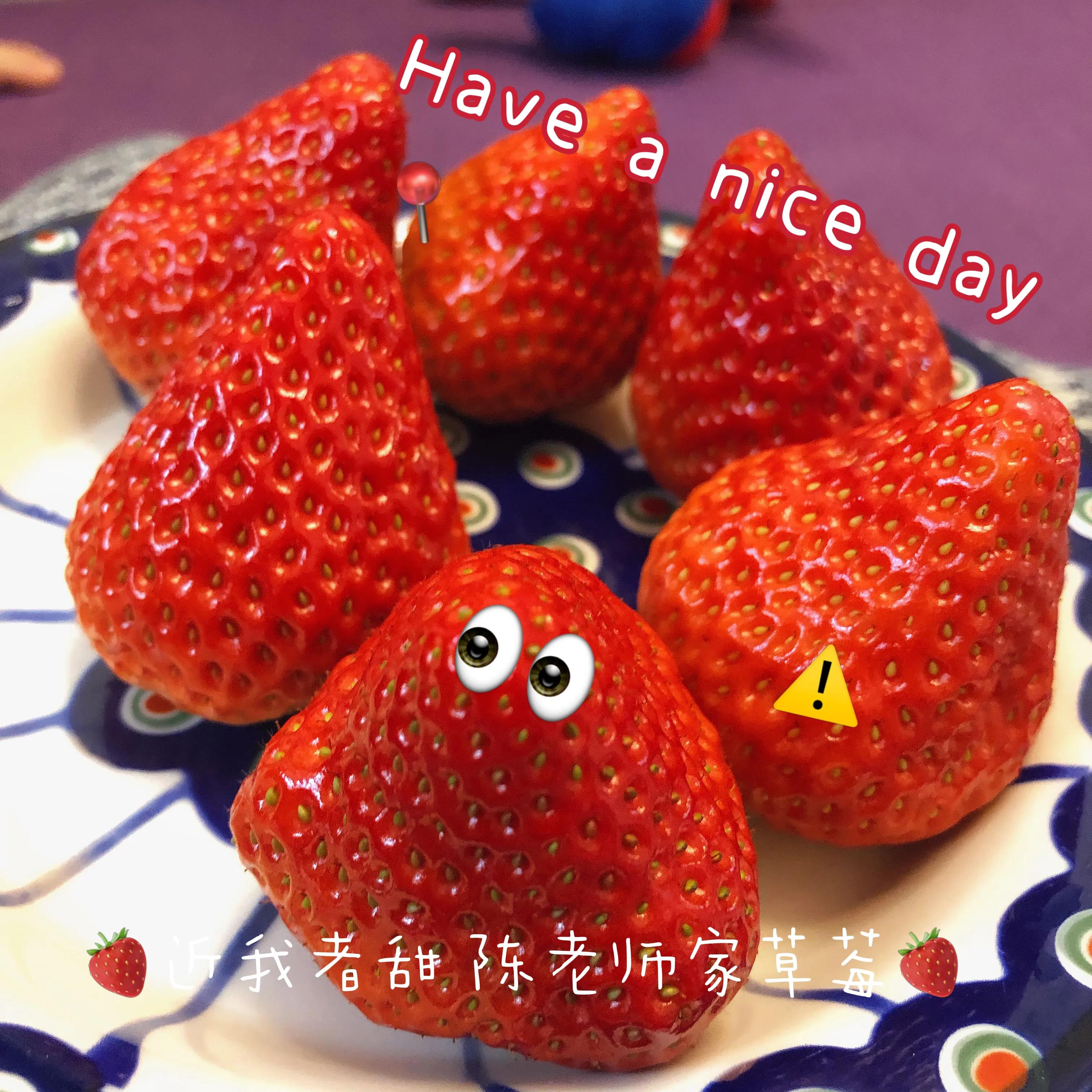 一斤丹东99草莓有多少个,丹东99草莓适合哪里种