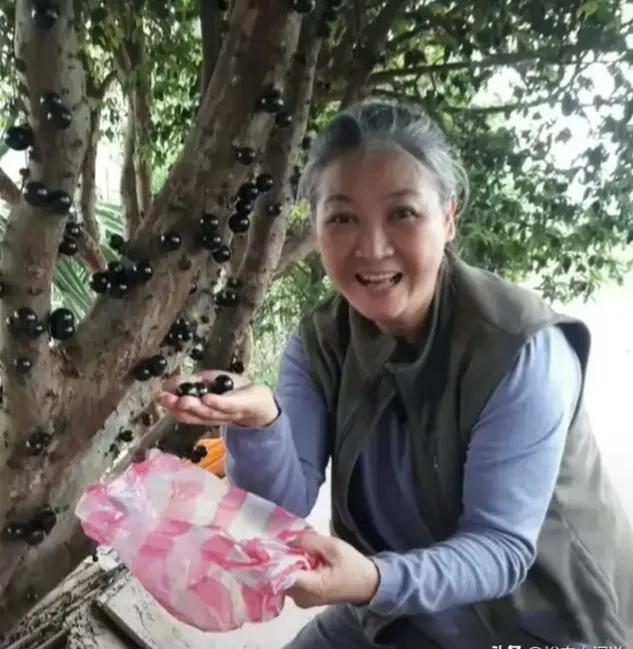 李立群难得一遇居家老戏骨,李立群谈外貌才情财力