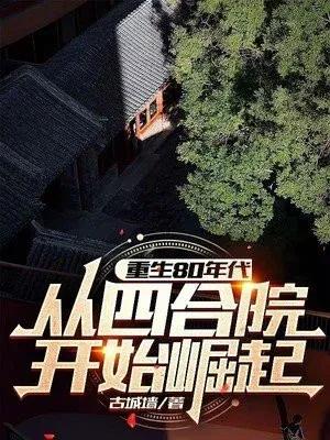 重生年代文小说，如果你重生回到八九十年代，想做什么呢？