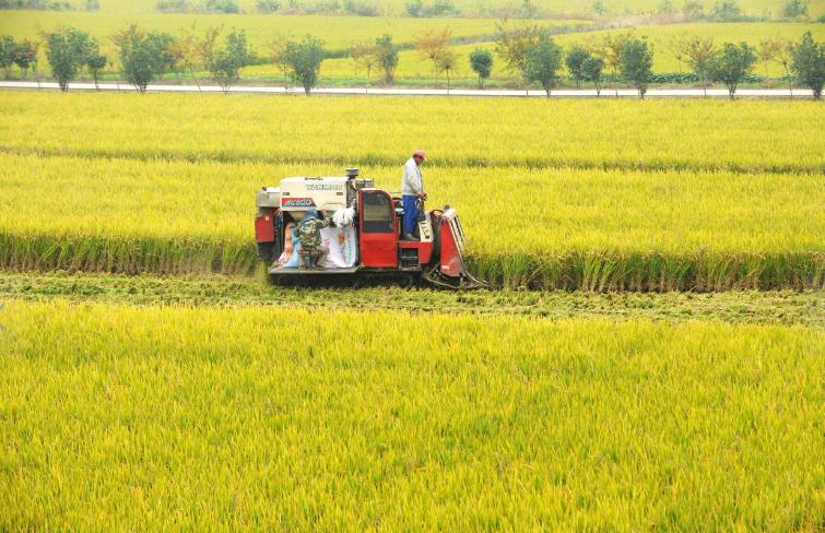 太尴尬！中方刚给予俄方支持，俄反手就给中国出了道难题