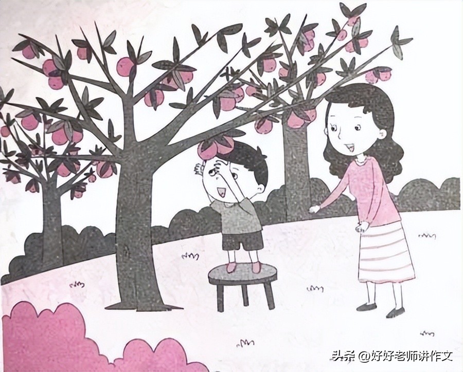 写作力进阶看图写话5册,看图写话写作指导