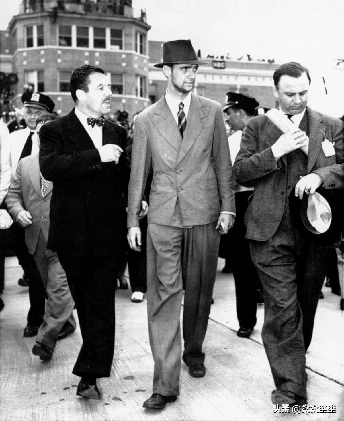 霍华德的经典合集,霍华德传奇一生