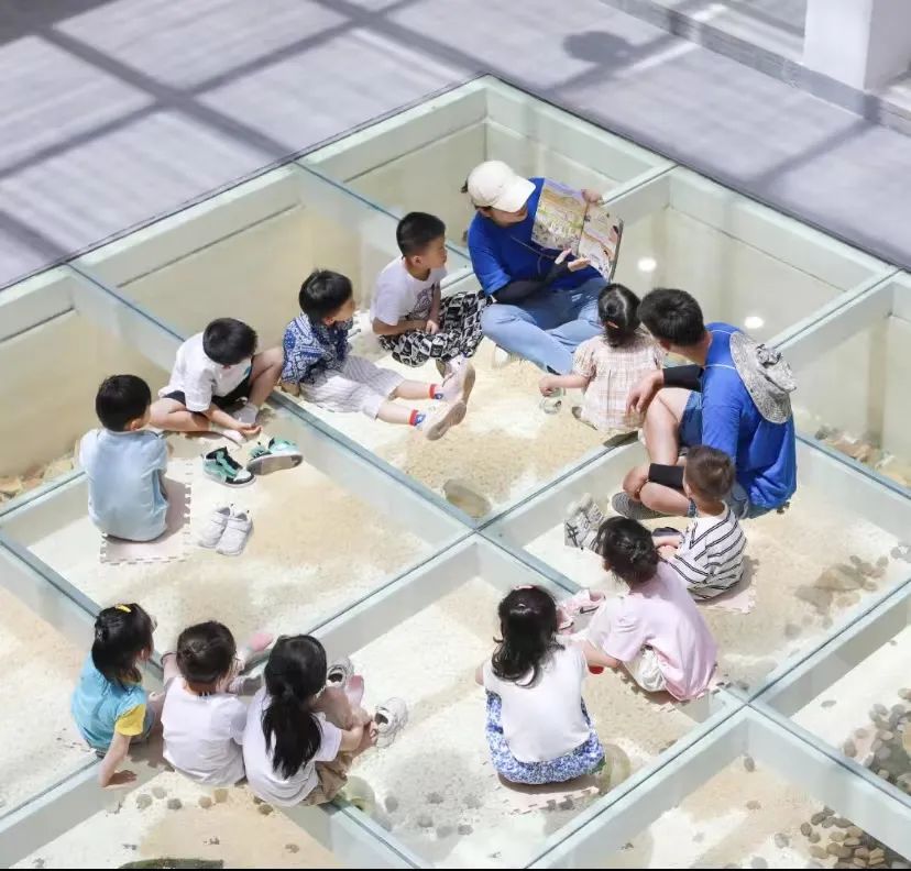 在“浙”里,乡村博物馆拔节生长