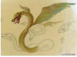 山海经异兽录排名大全,山海经异兽图片九尾狐