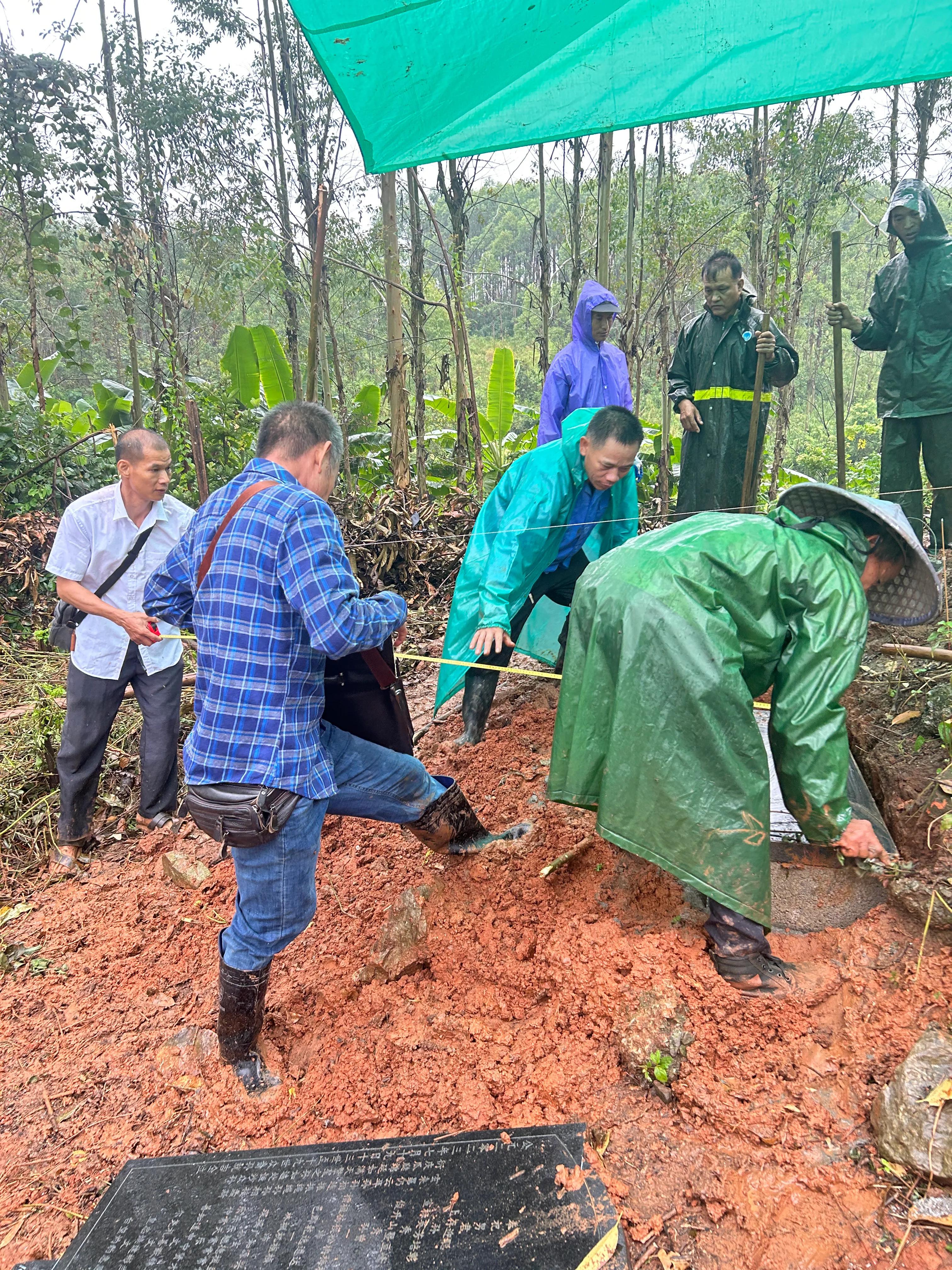 重修应苗公祖墓实录（下）——披荆斩棘凭实干，齐心协力功告成