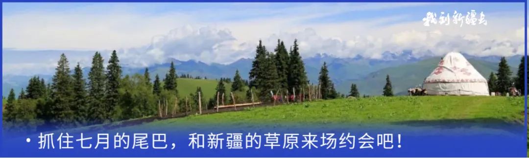 入疆旅游攻略,环疆旅游攻略大全