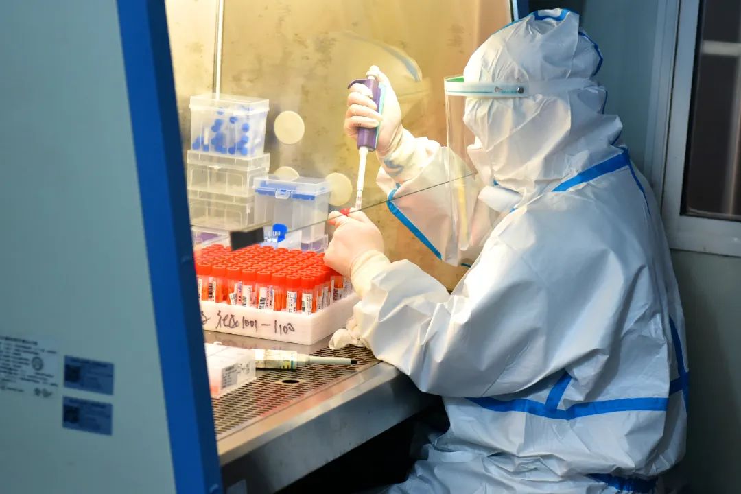 核酸检测放一个管子里的红色液体,核酸检测瓶子里红色液体