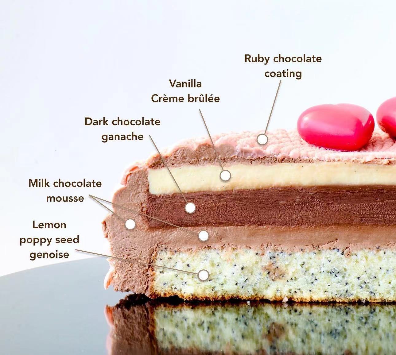 蛋糕切面,蛋糕两层夹心切面图片
