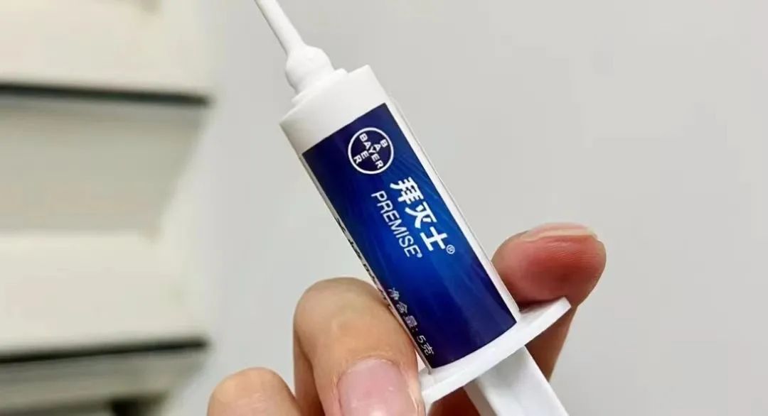 房间里突然多了好多蟑螂怎么解决,房间有蟑螂怎么彻底解决