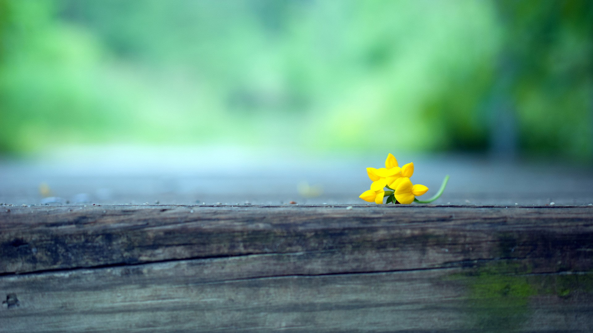 吃过大苦的人有这几个特征,吃过苦的女人有八大特征