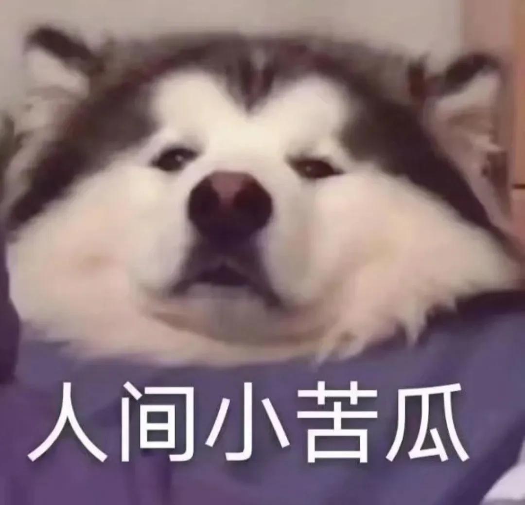 开学焦虑好想哭,开学焦虑心情压抑想哭难受