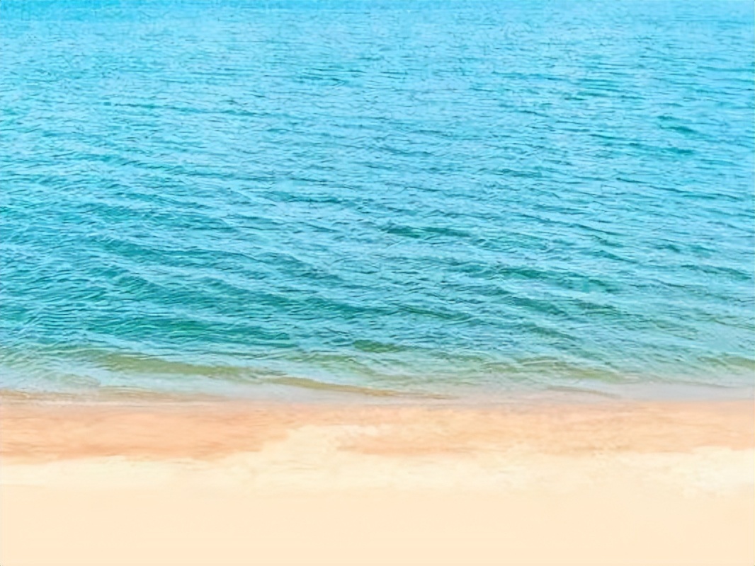 2022全国高考甲卷英语卷子,2021全国高考甲卷英语卷子