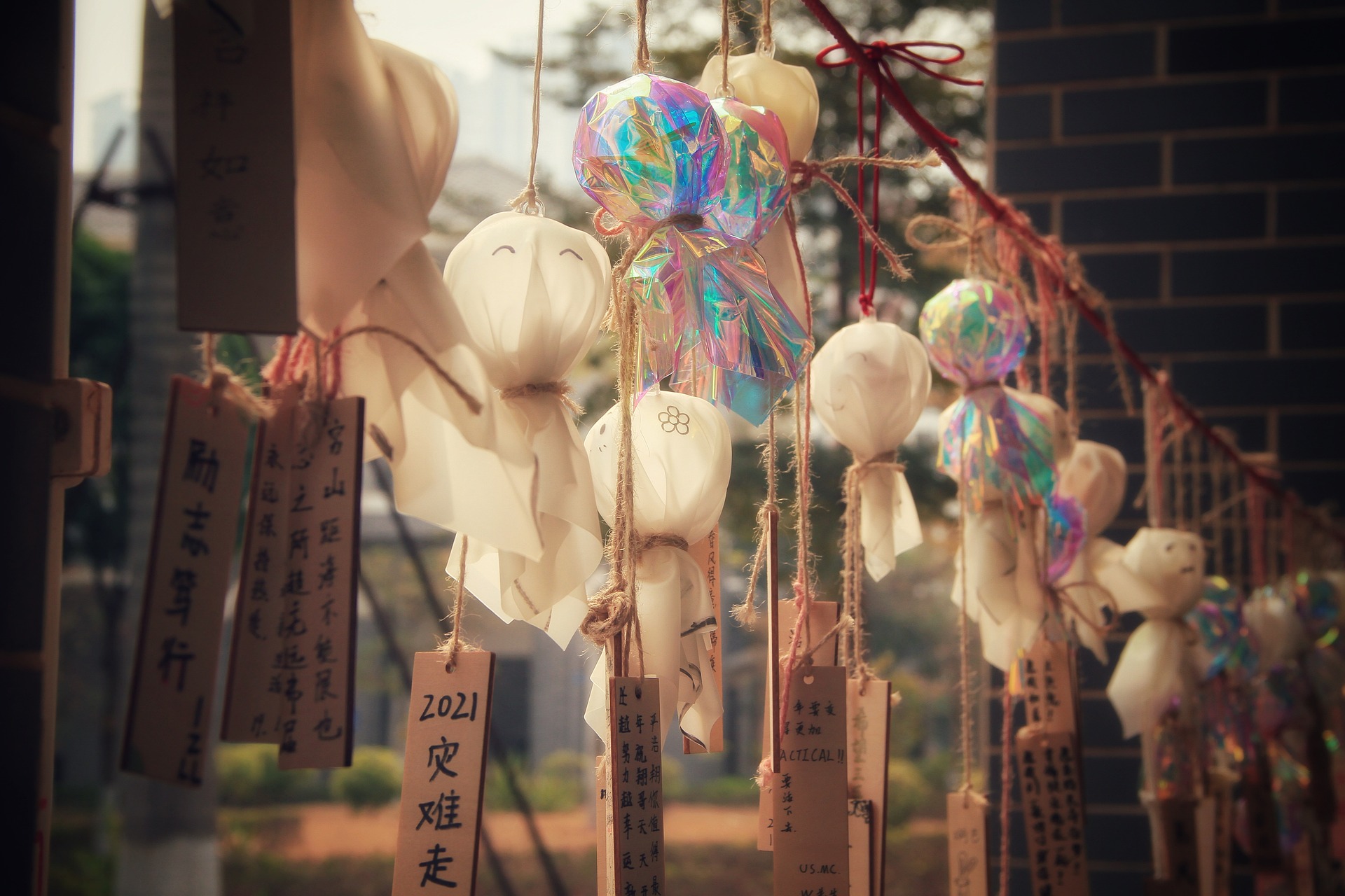 英文暖心句子祝福带翻译,从此你不再孤单