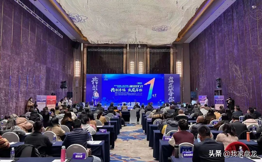 “盘一盘”这些盘龙区团属青年社会组织→