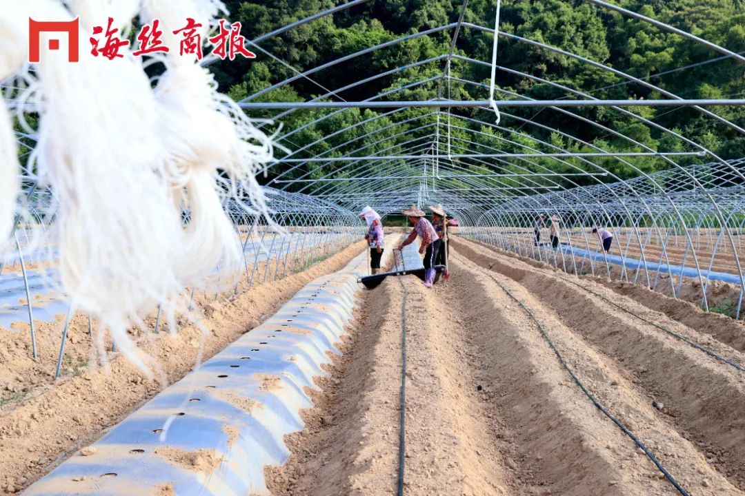 南安石井工业用地2亩,南安土地面积