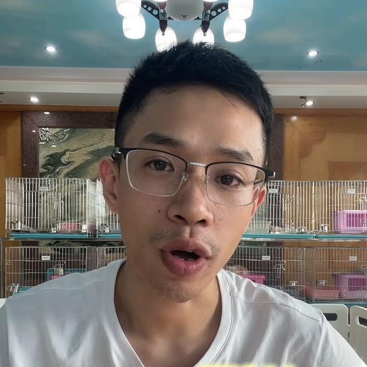 在大陆可以买猫过去香港吗,香港买东西需要注意什么