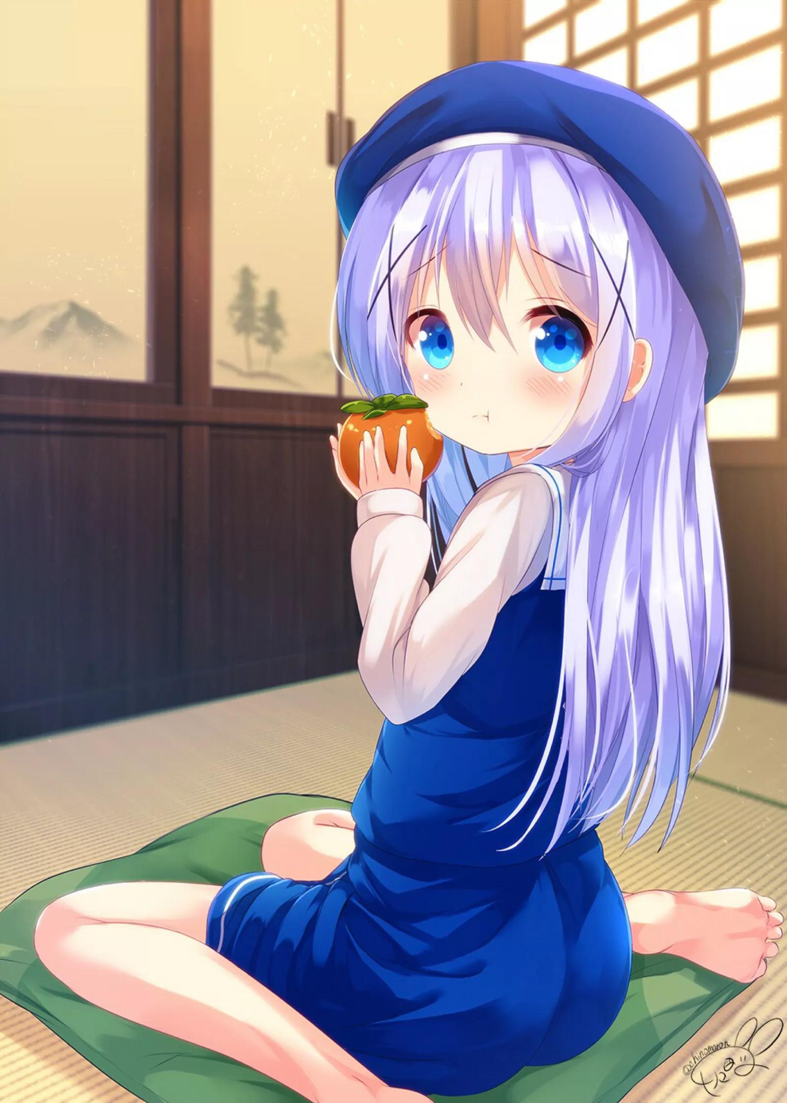 香风智乃兔子怎么来的,香风智乃兔子