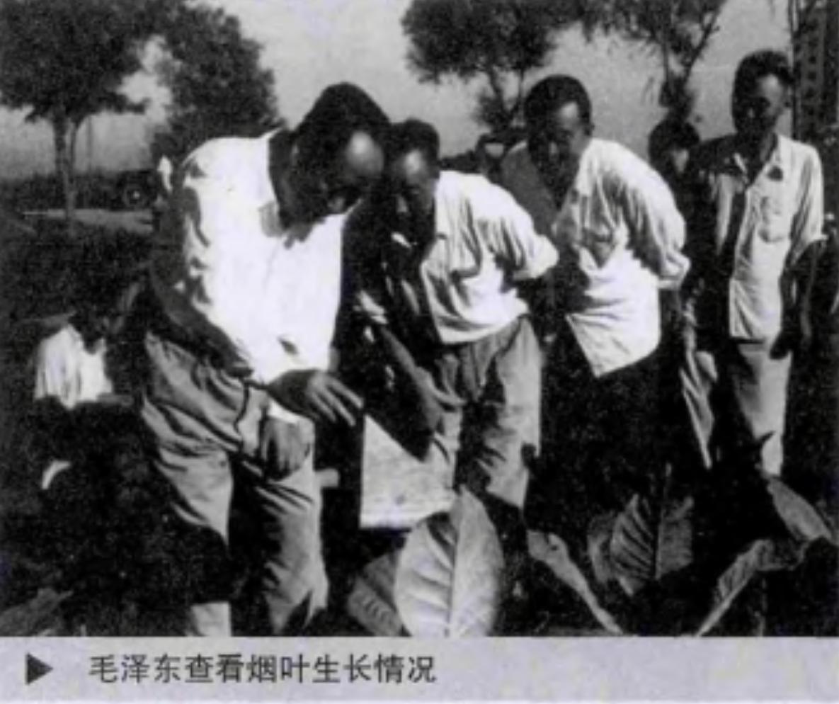 毛主席烟瘾很大，他抽的烟有什么特别之处？是时候说清真实情况了