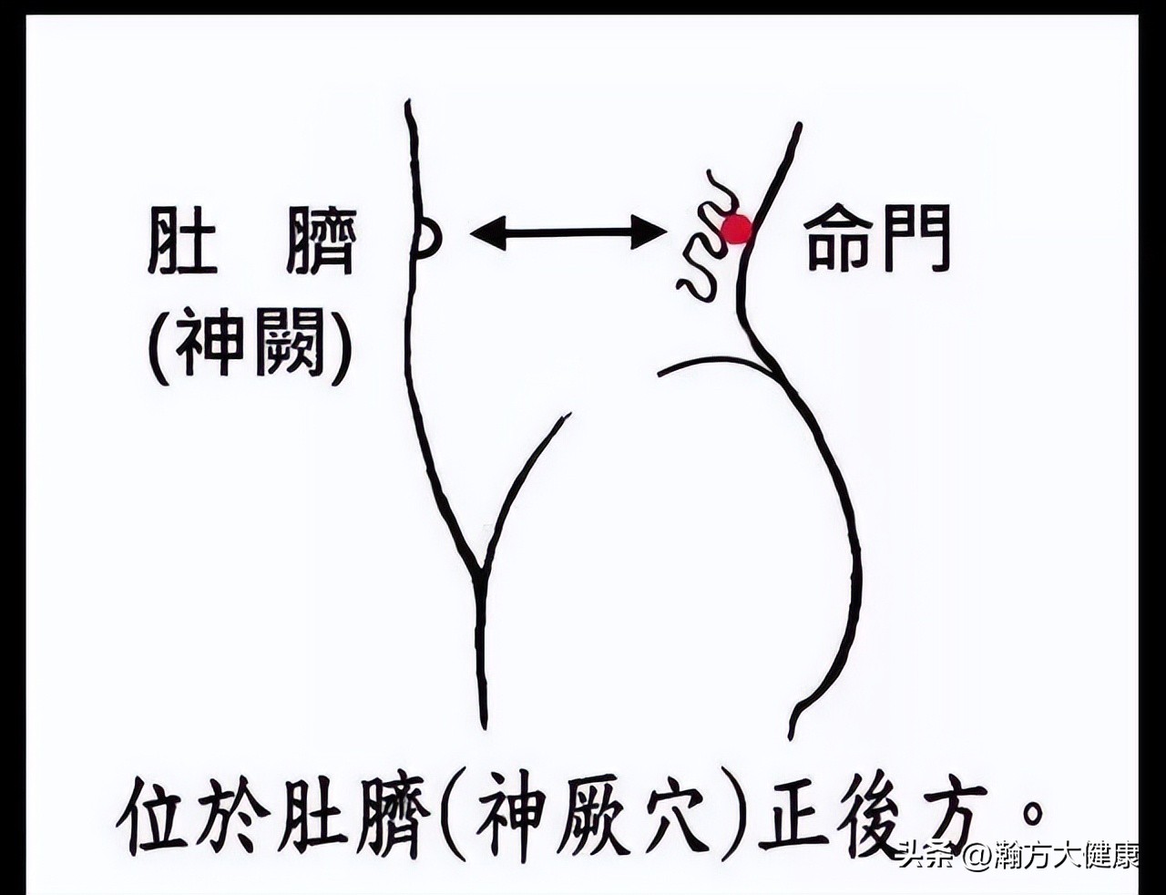 白头发分为哪几种白发,你有白发掉发吗