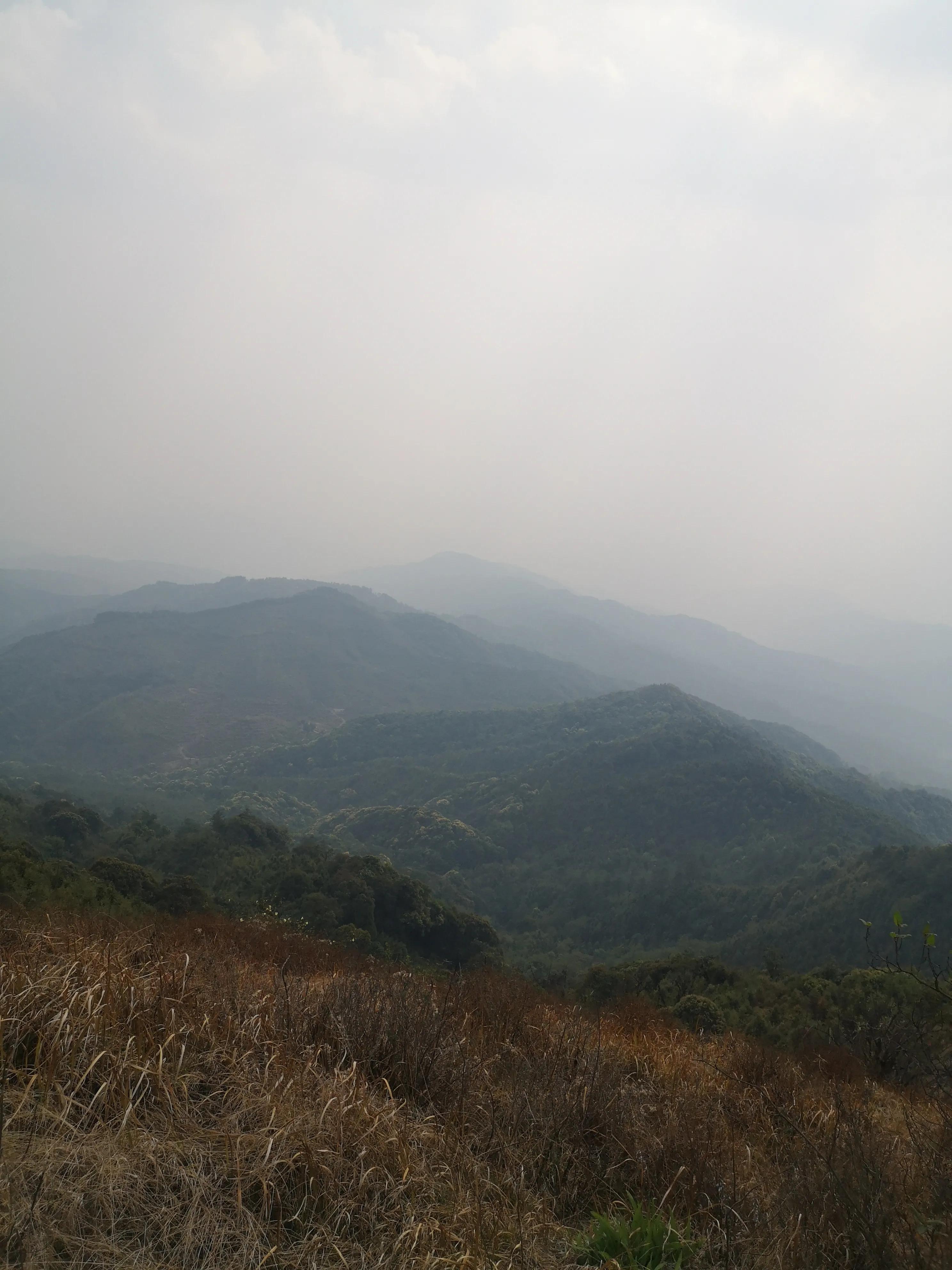 达摩和村山哪个厉害,达摩和村山谁赢了