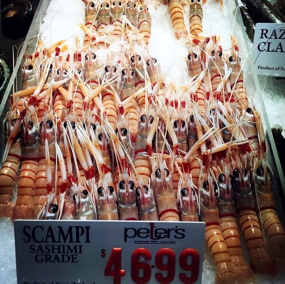 澳洲富人区和贫民区有什么区别,澳大利亚为什么成为富人的天堂