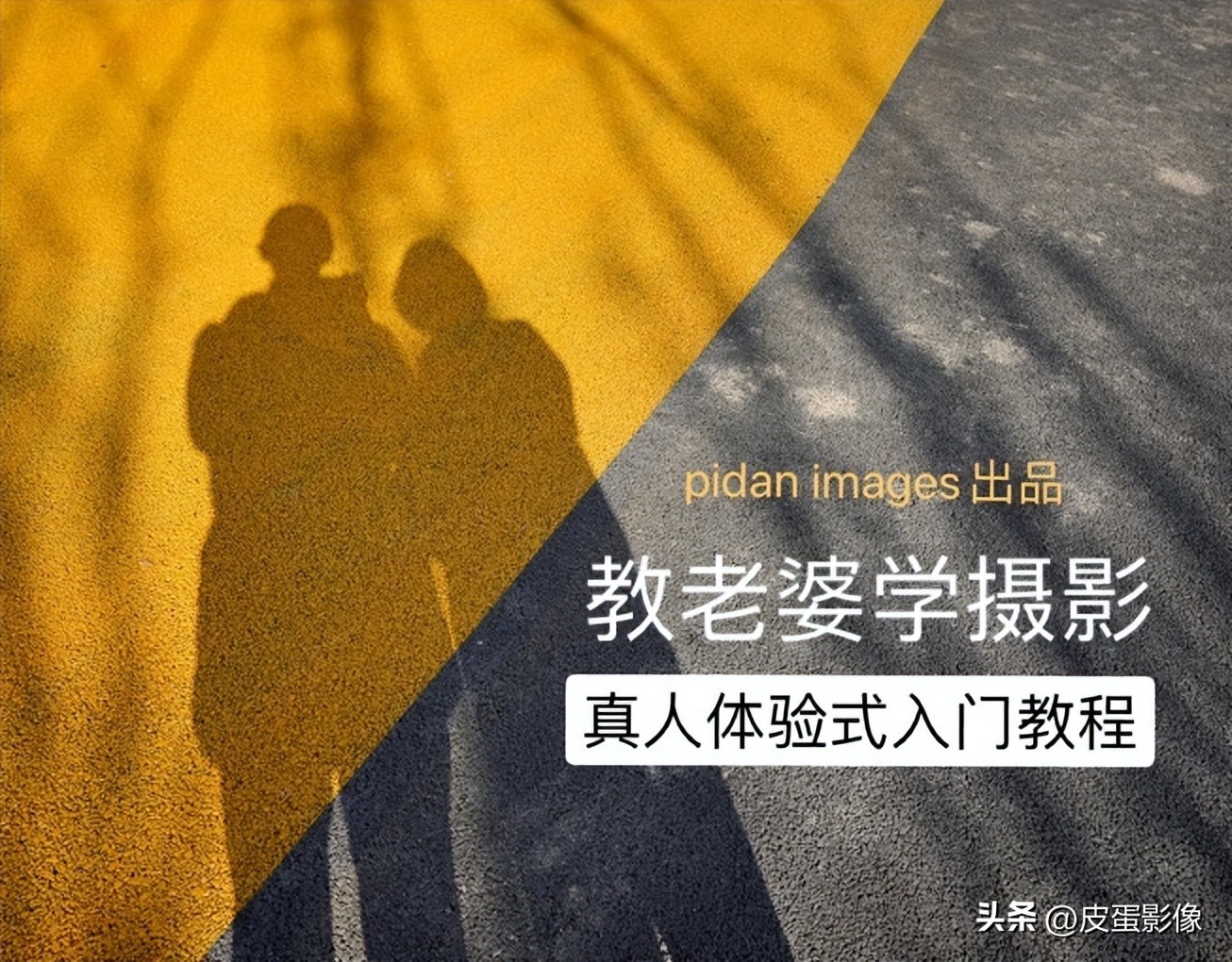 教老婆学摄影|第十五课:换相机就行了?不清晰不通透的10个因素